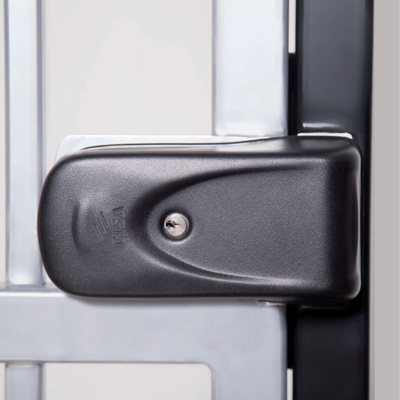 cisa-elettrika-1a721-electric-lock-application-close-up.jpg